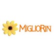 Logo Migliorin