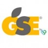 GSE