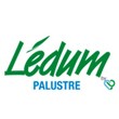 Logo Ledum Palustre