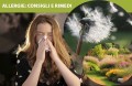 Allergia al Polline: Sintomi, Cause e Rimedi